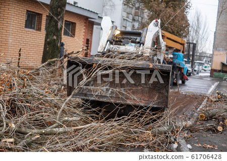 Urban emergency service removes a fallen tree on a Urban emergency service removes a fallen tree on a 61706428