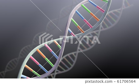 DNA基因染色體雙螺旋生物醫學 61706564