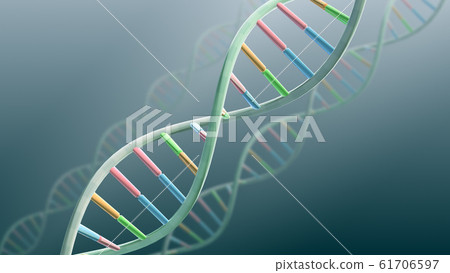 DNA基因染色體雙螺旋生物醫學 DNA基因染色體雙螺旋生物醫學 61706597