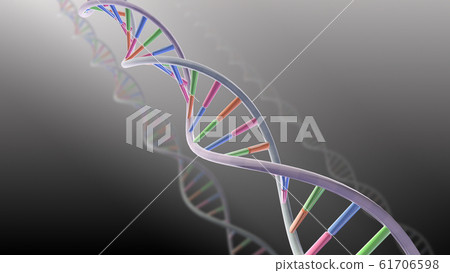 DNA基因染色體雙螺旋生物醫學 61706598