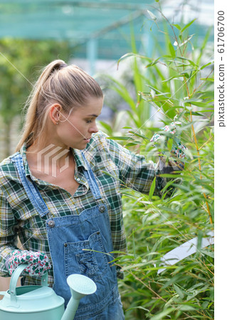 Florists woman working with flowers at a 61706700