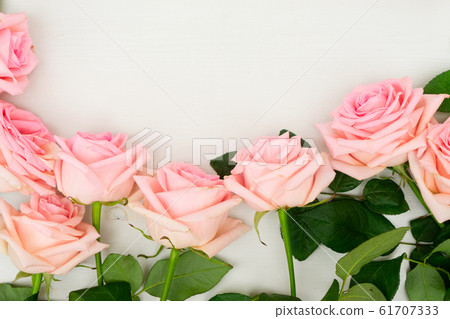 fresh rose flowers fresh rose flowers 61707333