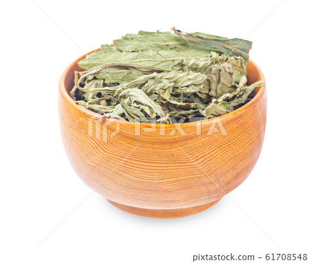 Dried Stevia rebaudiana Bertoni, sweet leaf sugar 61708548
