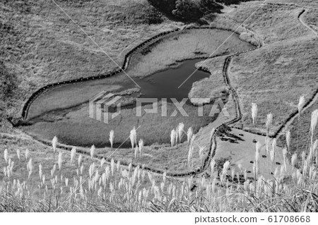 [深褐色]柏高原秋季 61708668