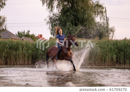 A young girl riding a horse on a shallow lake. A A young girl riding a horse on a shallow lake. A 61709270