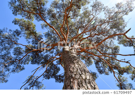 Jiri Mountain Canyon 61709497