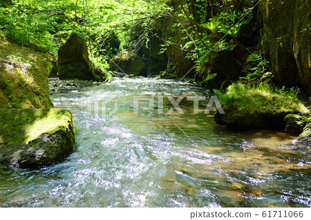 Tarumae Gallo 61711066