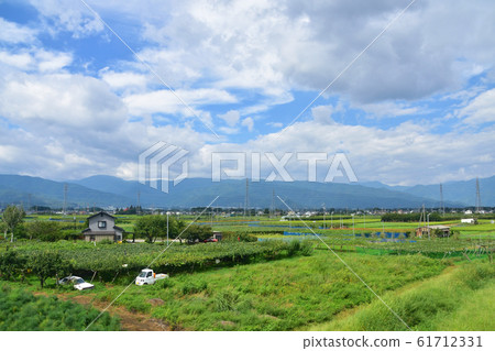 沿中央幹線的風景 沿中央幹線的風景 61712331
