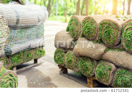 Stacks of green fresh rolled lawn grass on wooden pallet at dirt prepared for installation at city park or backyard on bright sunny day. Green tree forest on background. Gardening landcaping service 61712581