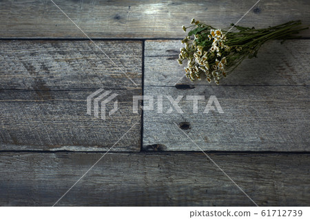 乾花 乾花 61712739