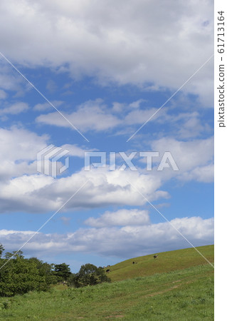 Iwate Hirono Ono Ranch Grazing beef 61713164