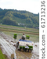 Rice planting 61713236