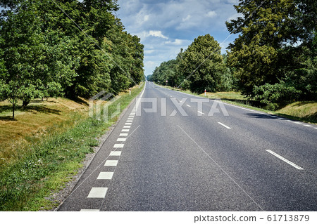 asphalt road in the green forest in summer 61713879