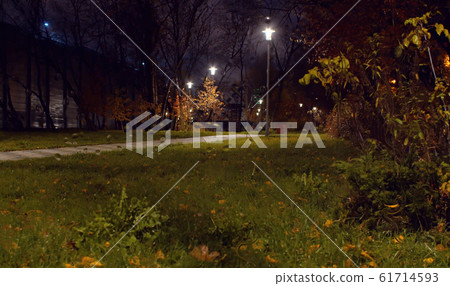 Rain in the autumn park. View through the glass with rainy drops. 61714593
