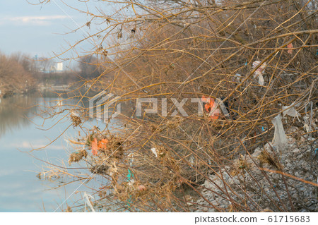 torn plastic bags hang on trees and shrubs along the river 61715683