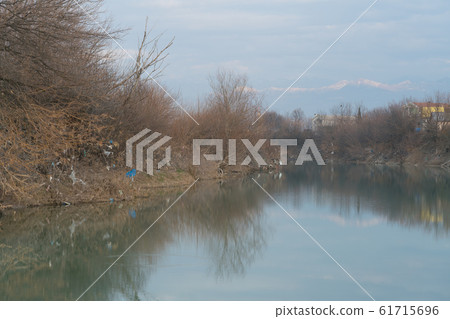 torn plastic bags hang on trees and shrubs along the river torn plastic bags hang on trees and shrubs along the river 61715696