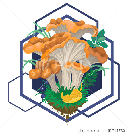 Mycelium, red mushrooms. Fall fruits. Geometric pattern on background. Vector flat illustration Mycelium, red mushrooms. Fall fruits. Geometric pattern on background. Vector flat illustration 61715780