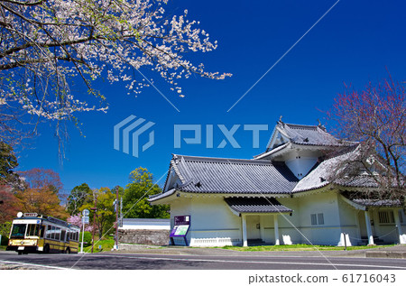 Sendai Castle Ruins, Otokadowaki Turret and Cherry Blossoms (Aoba Ward, Sendai City) Sendai Castle Ruins, Otokadowaki Turret and Cherry Blossoms (Aoba Ward, Sendai City) 61716043