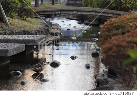 Dai Yokogawa Water Park 61716087