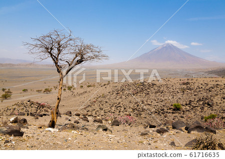 Lake Natron area landscape, Tanzania, Africa. Ol 61716635