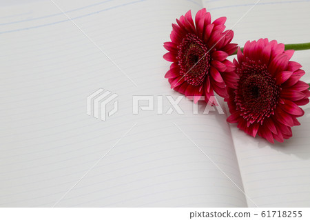 非洲菊在筆記本上 61718255