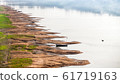 Birds on the Ganges River shallow. 61719163