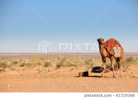 阿亞斯卡拉遺址 61720166