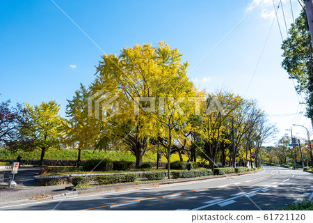 Maizuru Park: Road beside Fukuoka Castle Ruins Maizuru Park: Road beside Fukuoka Castle Ruins 61721120