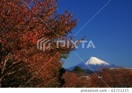 Autumn in Japan Autumn leaves, Sunpu Castle Park and Mt. Fuji 61721215