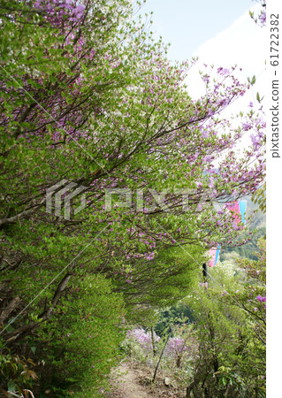 Tottori Four seasons walk Spring Yose Atagoyama 61722382
