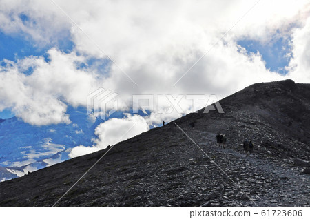 雷尼爾山國家公園 61723606