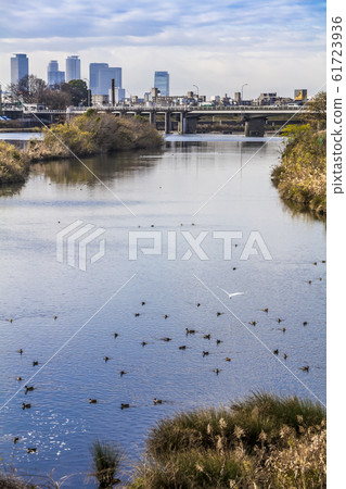 Aichi Prefecture Nagoya City Shonaikawa River Aichi Prefecture Nagoya City Shonaikawa River 61723936