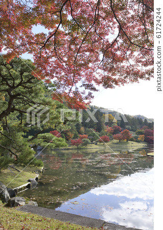 Shogakuin皇宮皇宮龍捲風池塘 Shogakuin皇宮皇宮龍捲風池塘 61724244