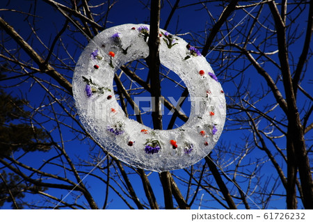 Ice wreath Ice wreath 61726232