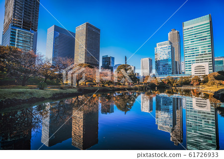 在Hamarikyu恩施公園的秋葉和湖面照耀的風景 在Hamarikyu恩施公園的秋葉和湖面照耀的風景 61726933