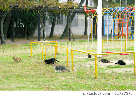 Cat hangout Cat hangout 61727573