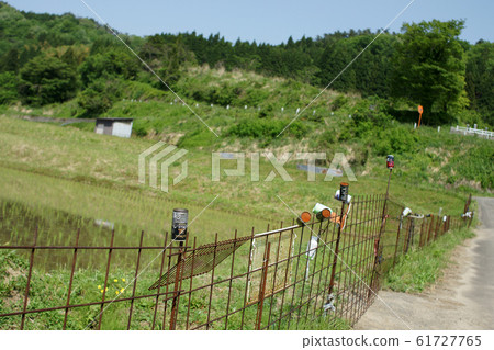 鳥取四季節步行春橫田田 61727765