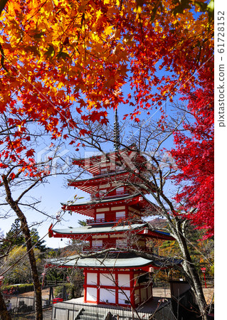 [山梨縣]新倉富士淺間神社和Chureito的秋葉 61728152