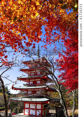 [山梨縣]新倉富士淺間神社和Chureito的秋葉 61728153
