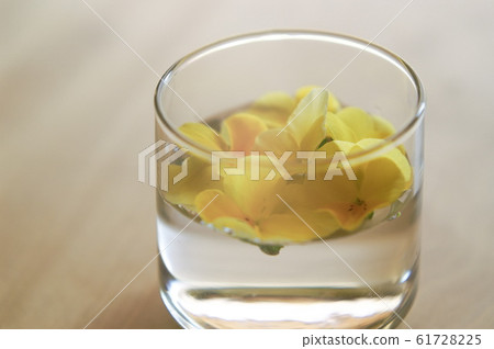 Viola floating on the water Viola floating on the water 61728225