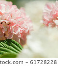 粉紅色的繡球花 61728228