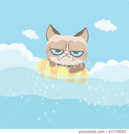 Cute grumpy cat swimming on Beach.. 61729093