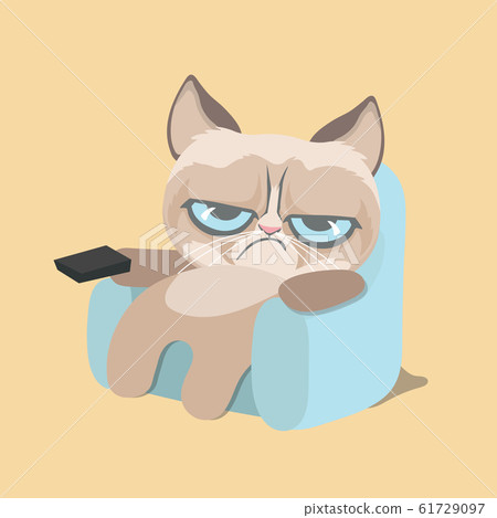 Cute grumpy cat watching home video. . 61729097