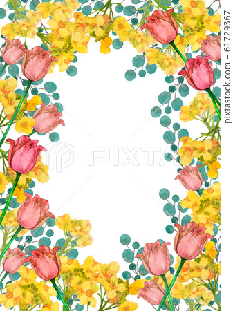 Rape blossoms and tulips watercolor 61729367