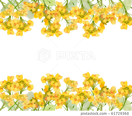 Rape blossom frame Rape blossom frame 61729368
