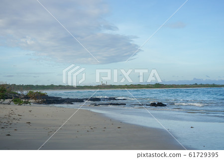 伊莎貝拉島海灘 伊莎貝拉島海灘 61729395