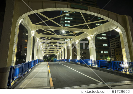 Night view of Toyomi Bridge over the Nihonbashi River in Tokyo 61729663