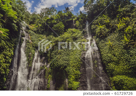 bali, fiji waterfall from the sekumbul waterfalls, indonesia, asia 61729726