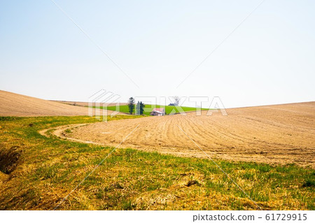 Biei Hill with red roof Biei Hill with red roof 61729915