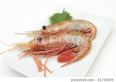 Button shrimp Button shrimp 61730204